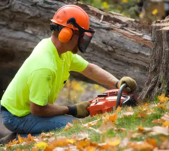 tree services North Dakota